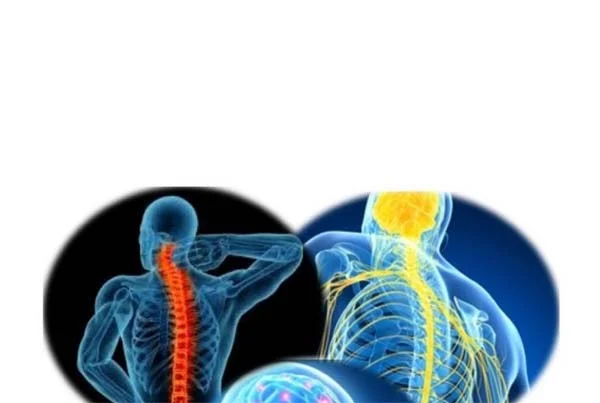 Neuro Physiotherapy Treatment